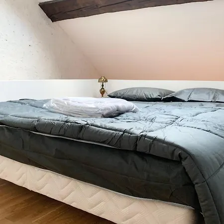 #d9 The Little Vaucanson Apartament Grenoble