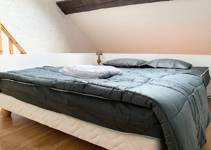 #d9 The Vaucanson's Alcove Historic Center Place Vaucanson דירה גרנובל