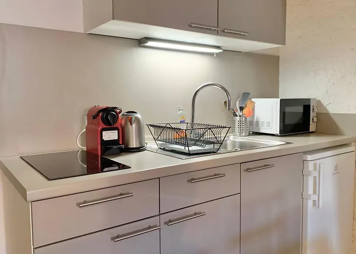 דירה #d9 The Vaucanson's Alcove Historic Center Place Vaucanson גרנובל