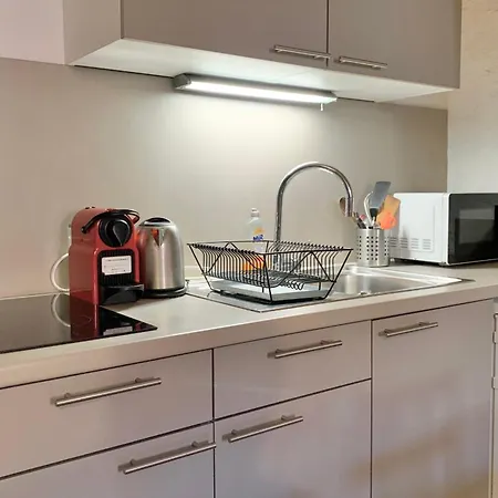 アパート #d9 The Vaucanson's Alcove Historic Center Place Vaucanson グルノーブル