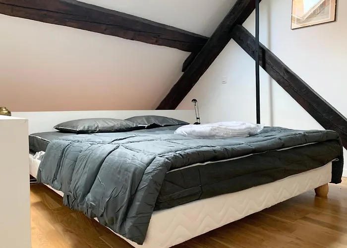 #d9 The Vaucanson's Alcove Historic Center Place Vaucanson * グルノーブル